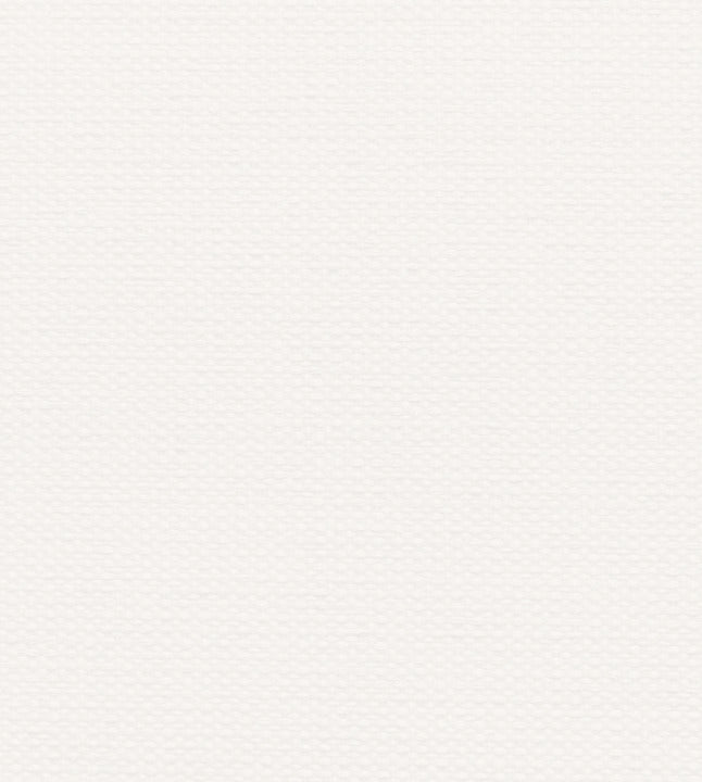 Product background image