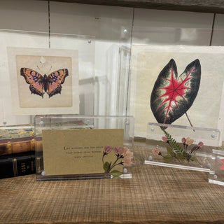 Acrylic Frames