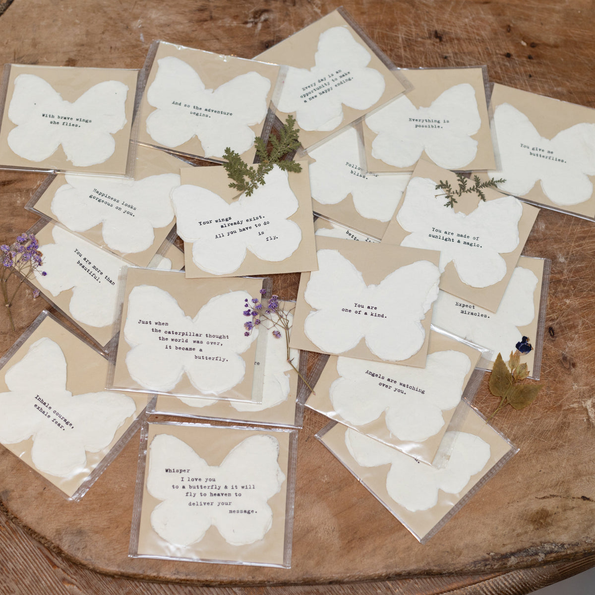 Mini Deckled Butterfly Set of 20-You Make the World