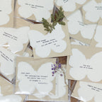 Mini Deckled Butterfly Set of 20-Just When the Caterpillar