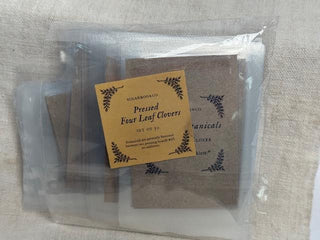 Pressed Four Leaf Clovers-Set of 50