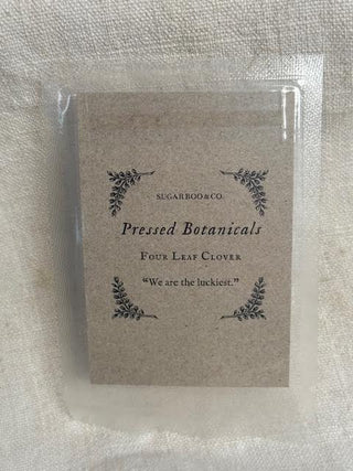 Pressed Four Leaf Clovers-Set of 50