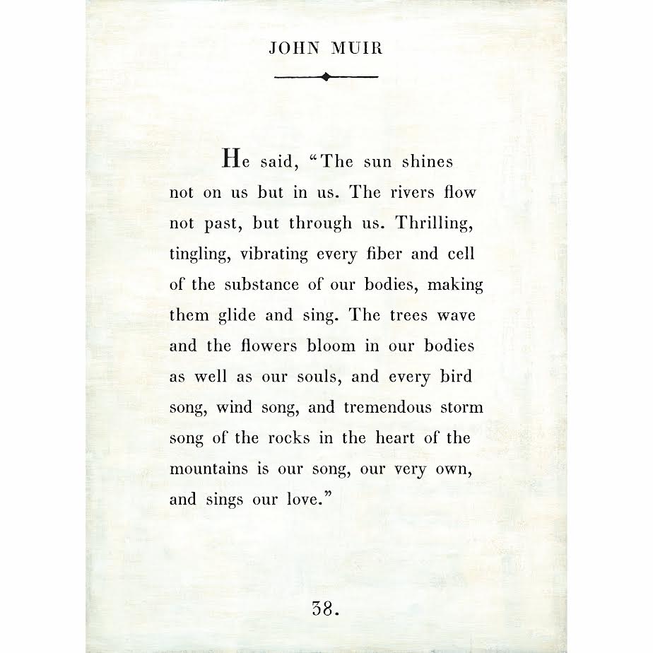 John Muir Art Print - Book Collection