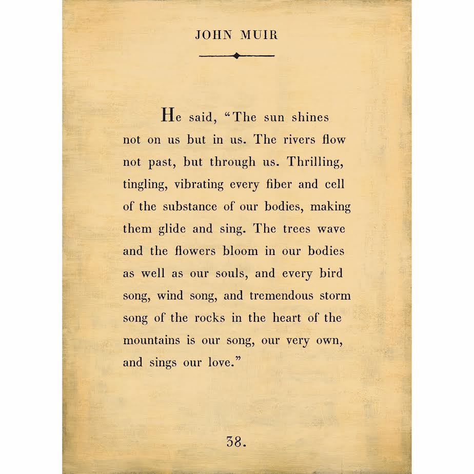 John Muir Art Print - Gallery Wrap