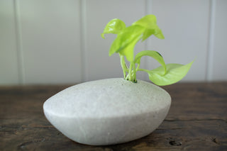 Speckled Ceramic Single Pod Vase