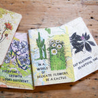 Be A Cactus Adventure Journal