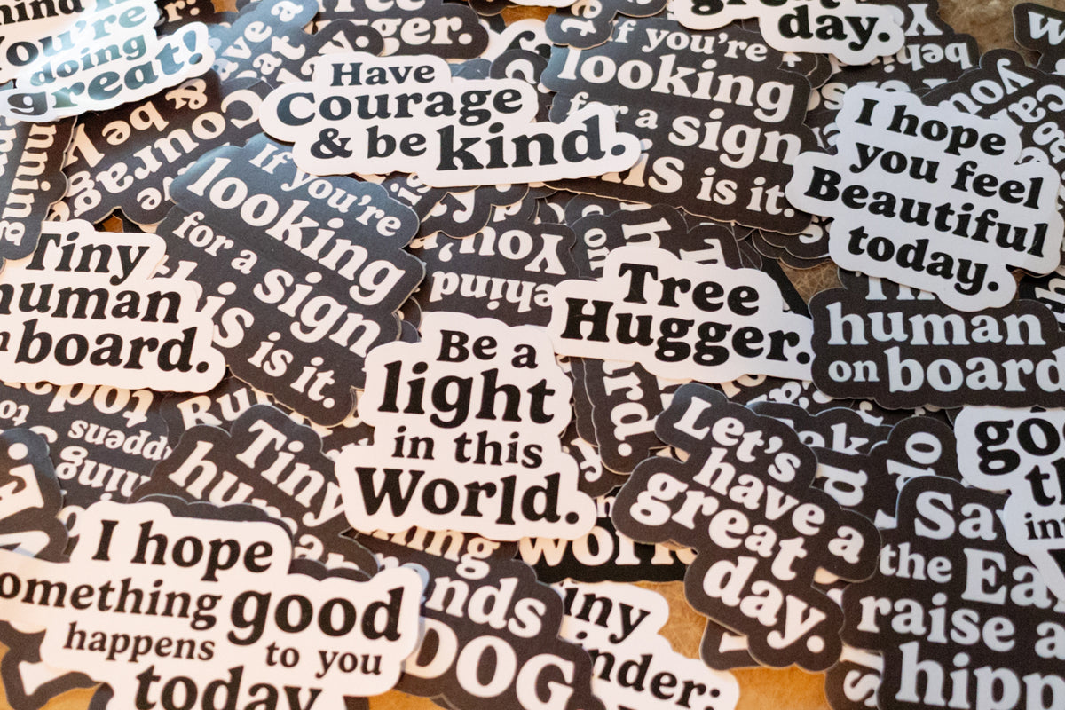 Vinyl Stickers - Assorted Set of 100
