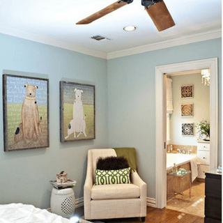 White Boy Dog Art Print - Gallery Wrap