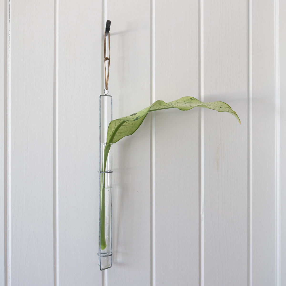 Zinc Hanging Glass Tube Vases - Assorted Set of 3