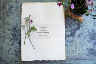 10"x13" Handmade Cotton Paper Bundle - Cream