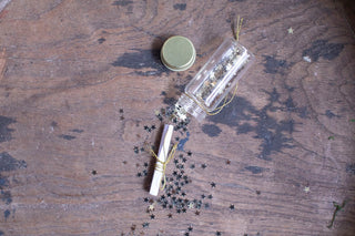 Wishing Bottle Ornaments - Set of 12