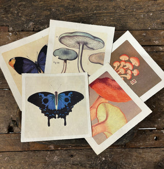 11"x11" Blue Butterfly - Flora & Fauna Collection