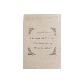 Pressed Four Leaf Clovers-Set of 50