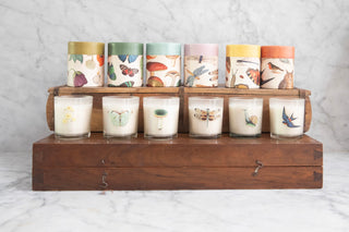 Flora & Fauna Candle Collection Assorted Set of 24