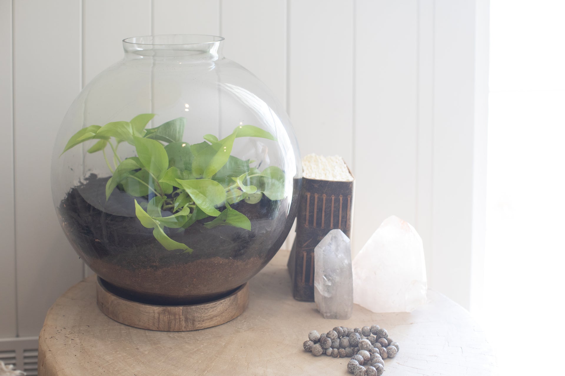 large indoor plant terrarium Large Glass Terrarium 16.4"x16.4" – Sugarboo & Co Wholesale