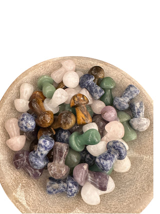 Mini Stone Mushrooms - Assorted Set of 36