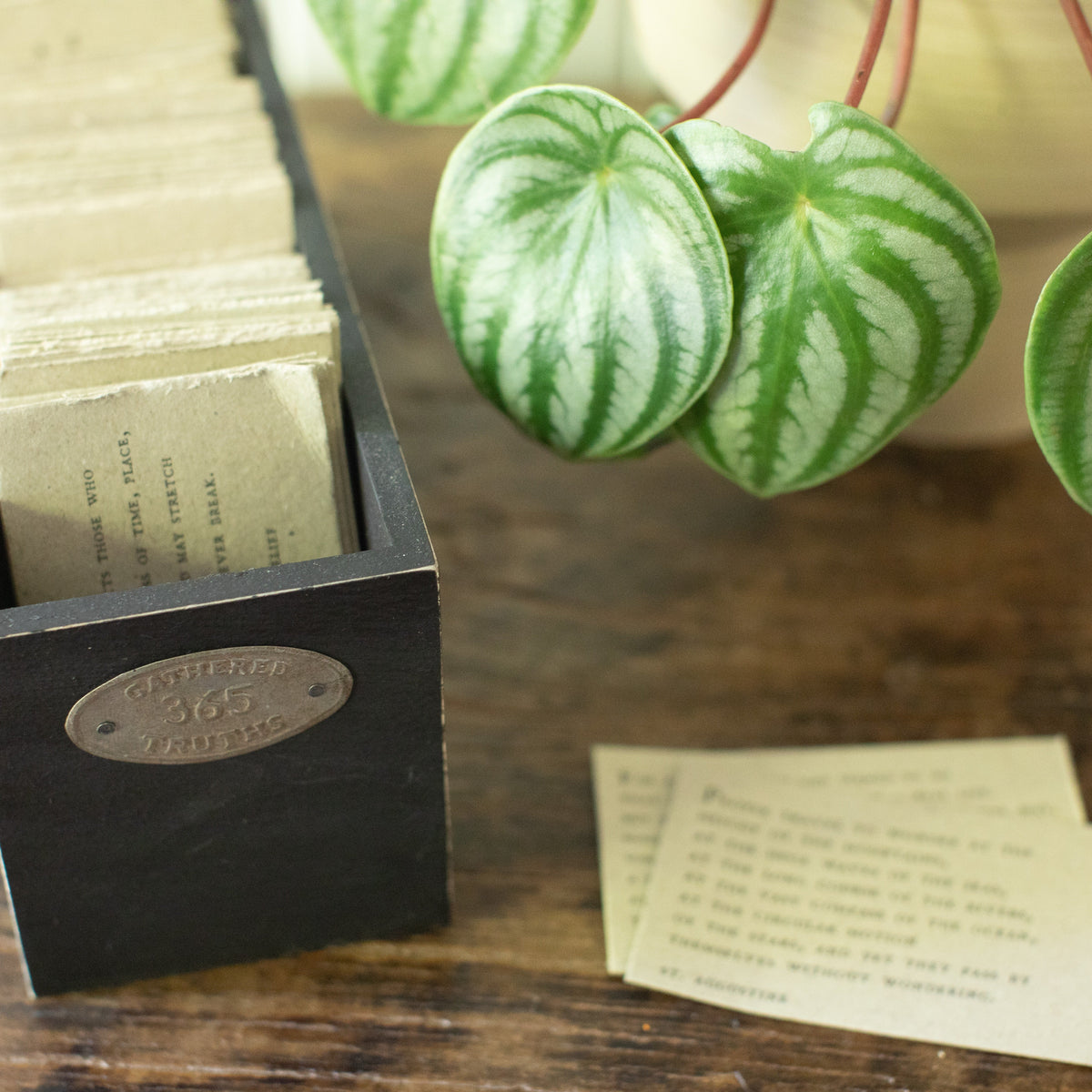 365 Gathered Thoughts Box - 1st Edition