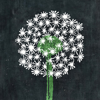 Dandelion Art Print - Gallery Wrap