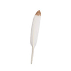 ***Glittered Plumes Collection 3rd Edition - Assorted Set of 150