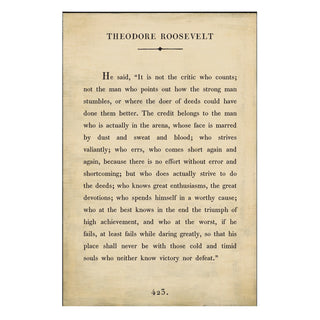 Theodore Roosevelt - Book Collection - Art Print