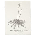 ***Deep In Their Roots Botanical Handmade Paper Print - 12x16