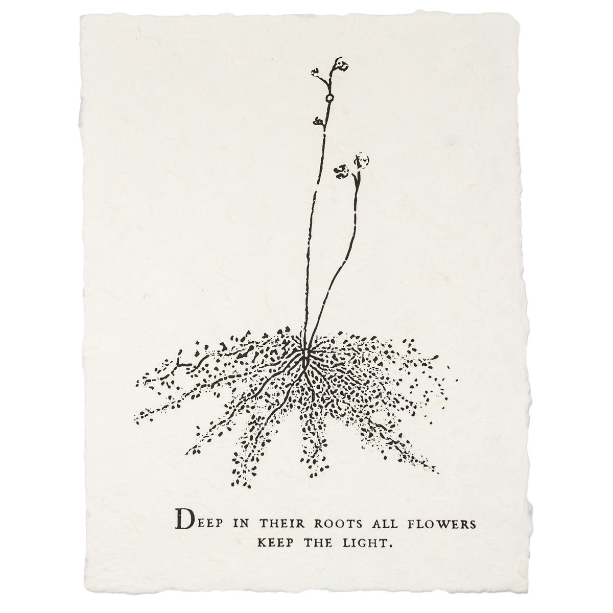 ***Deep In Their Roots Botanical Handmade Paper Print - 12x16