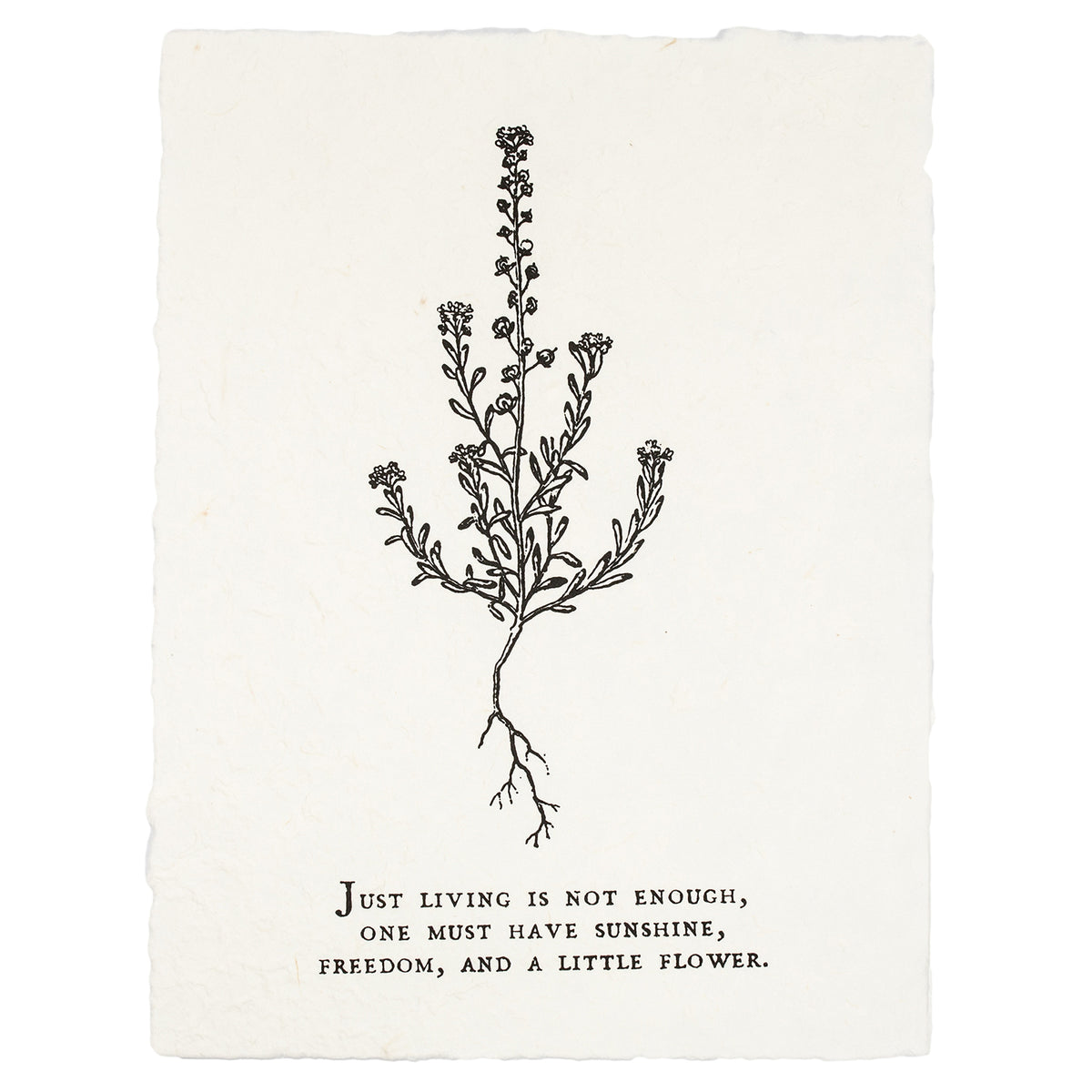 ***Just Living Is Not Enough Botanical Handmade Paper Print - 12x16
