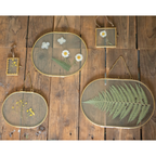 Oval Brass Hanging Frame 12x8 – Horizontal w/ Chain