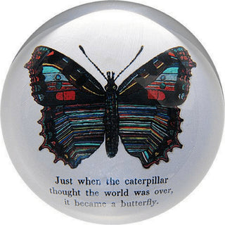Paperweight -Butterfly