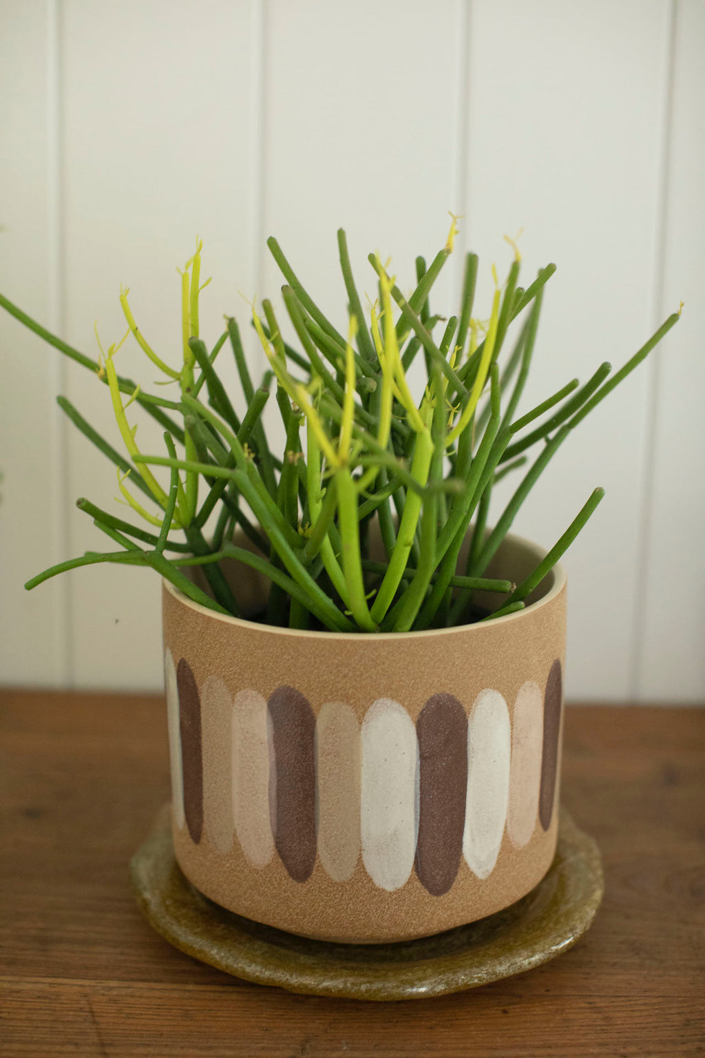 ***Ceramic Planter with Paint Strokes 7.5" x 7.5" x 6"
