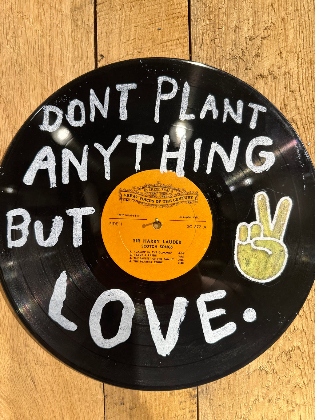 Don't Plant Anything But Love Vinyl Record