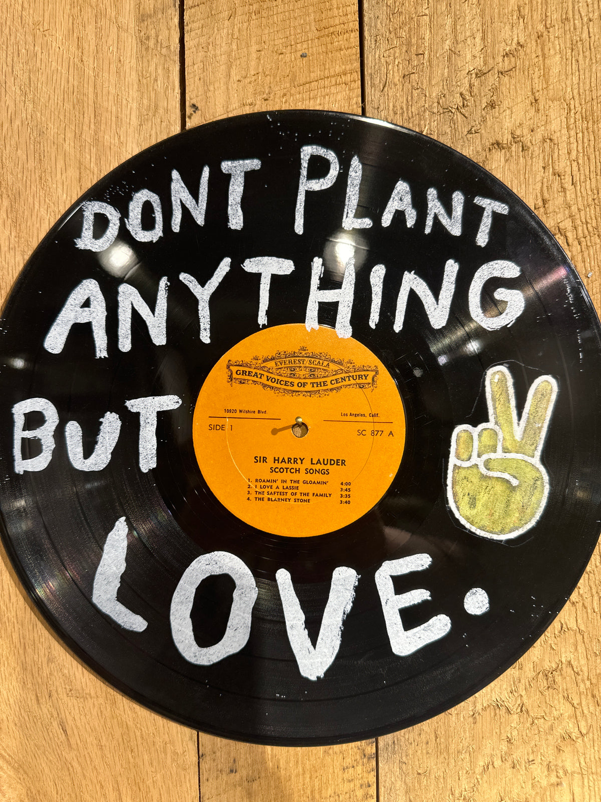 Don't Plant Anything But Love Vinyl Record