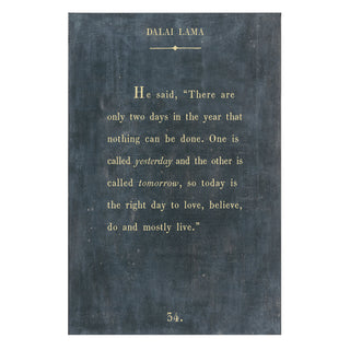 Dalai Lama - Book Collection - Art Print