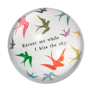 Excuse Me While I Kiss The Sky Paperweight