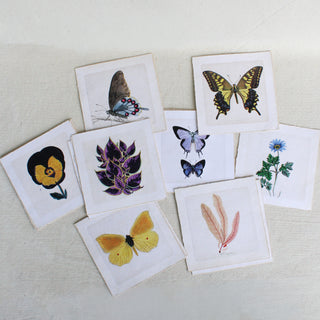 Flora & Fauna Collection 3RD Edition - Assorted Set of 24 (5"x5")