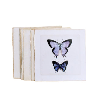 Flora & Fauna Collection 3RD Edition - Assorted Set of 24 (5"x5")