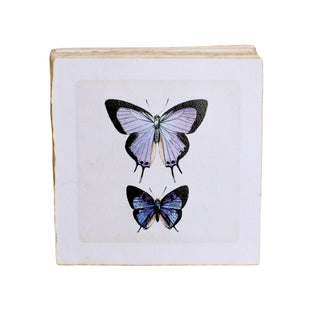 Flora & Fauna Collection 3RD Edition - Assorted Set of 24 (5"x5")