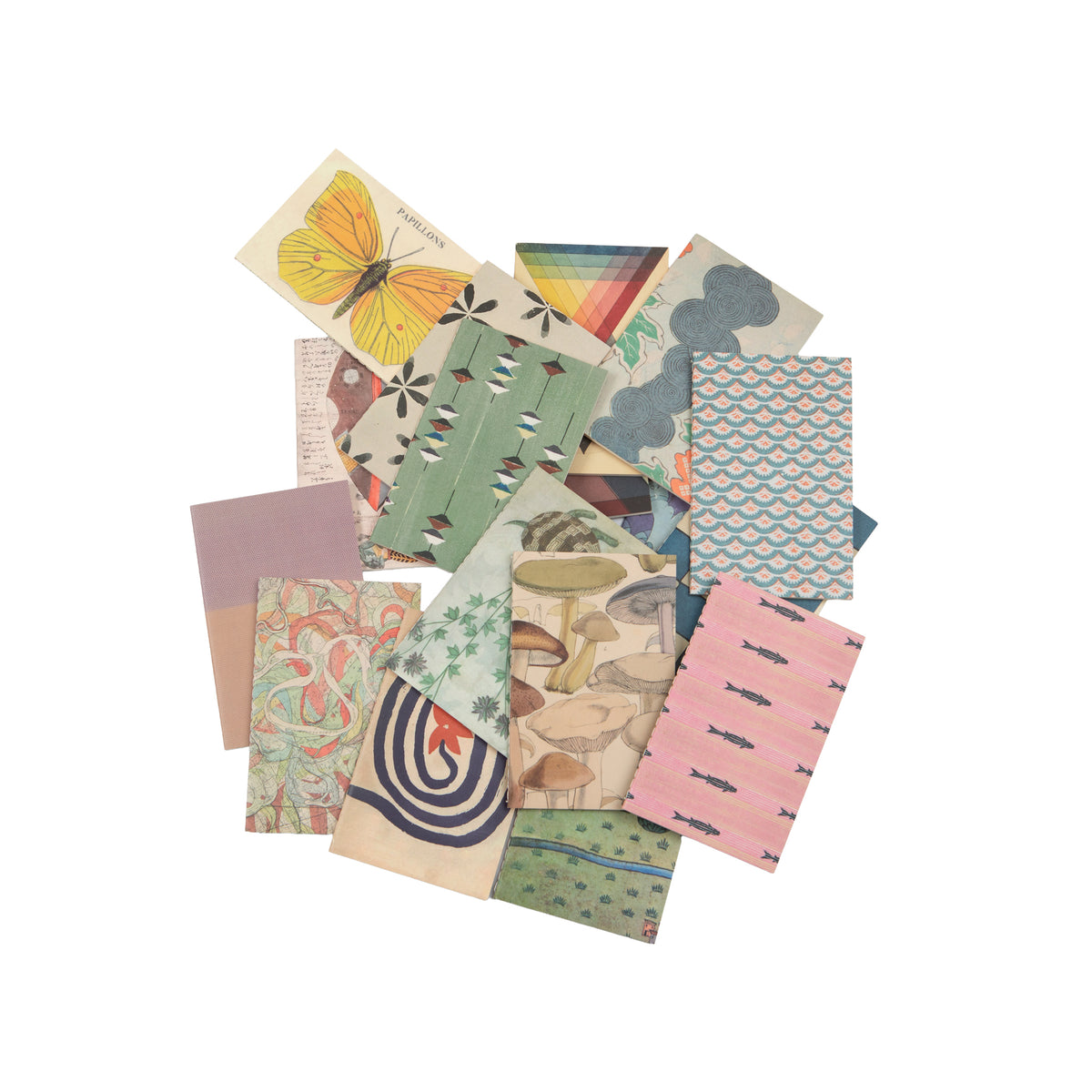 Field Journals - Set of 54