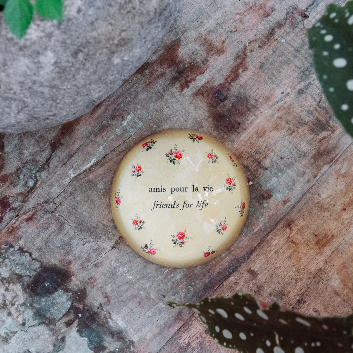 Amis Pour La Vie Paperweight