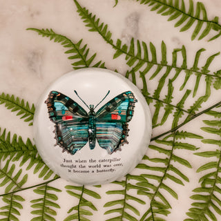 Butterfly Paperweight