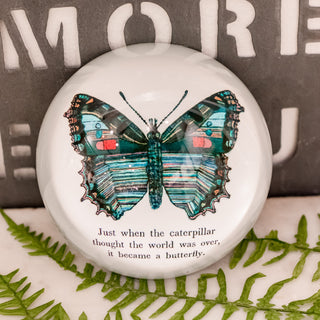 Butterfly Paperweight