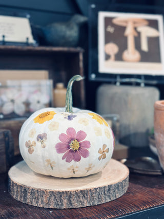 Pressed Peony Collection- Assorted Set Of 9