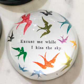 ***Excuse Me While I Kiss The Sky Paperweight