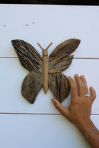 Small Butterfly Driftwood