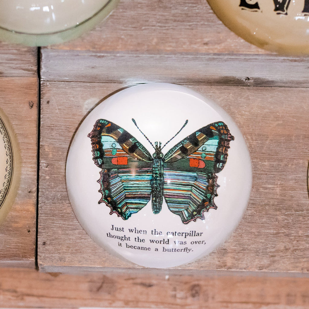 Butterfly Paperweight
