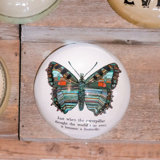 Butterfly Paperweight
