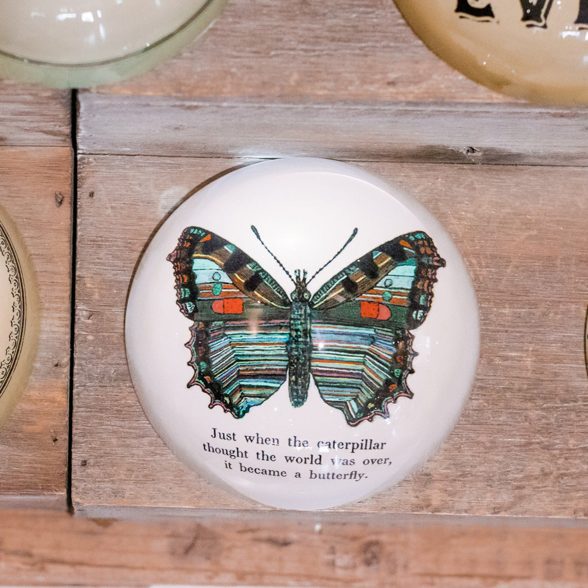 Butterfly Paperweight