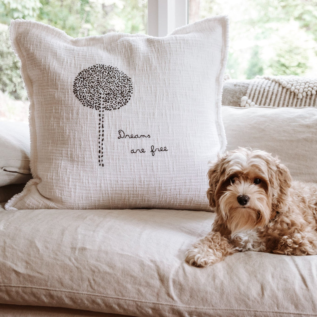 Dreams Are Free Embroidered Pillow 24x24 - Beige