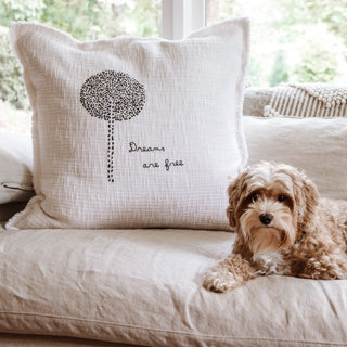 Dreams Are Free Embroidered Pillow 24x24 - Beige