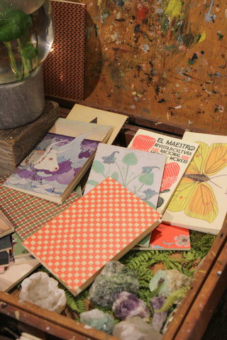 Field Journals - Set of 54